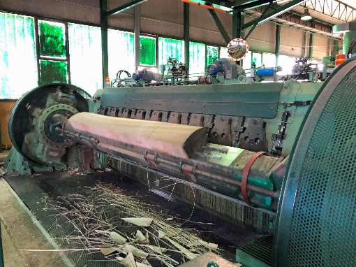 Image 4: A tree trunk is being cut by machine here. Photo: Roser AG